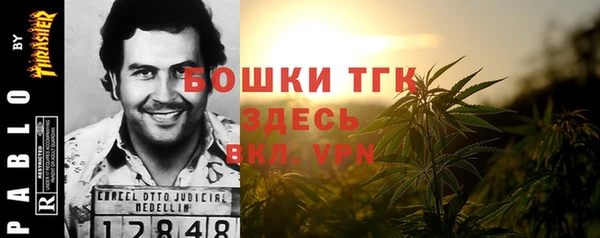 ALPHA PVP Няндома