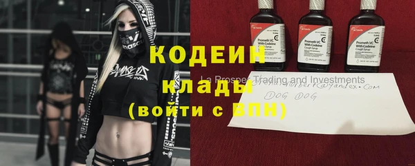 ALPHA PVP Няндома