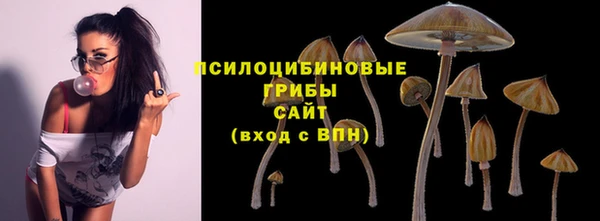 ALPHA PVP Няндома