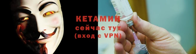 гидра Елабуга