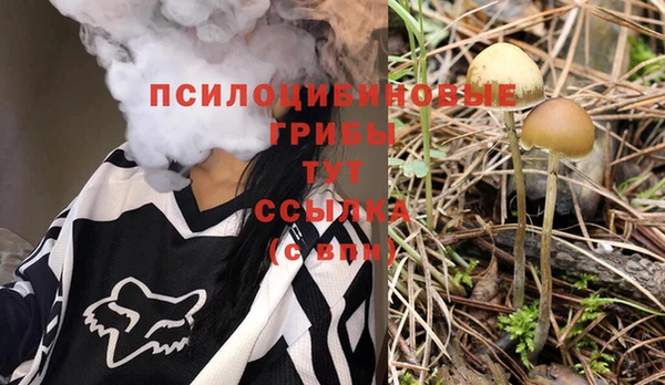 mdma Нязепетровск