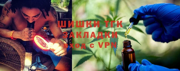 ALPHA PVP Няндома