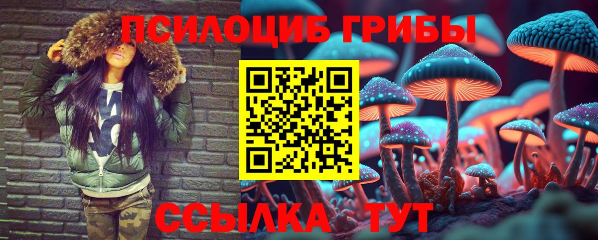 Реж  Псилоцибиновые грибы Cubensis  Вход с VPN  Псилоцибиновые грибы мухоморы 